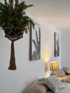 Ảnh trong thư viện ảnh của Apartment #3 for 4 WiFi-centric-consulate ở Matamoros +7 ảnh