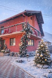 una casa con alberi di Natale davanti di Vila Georgeta a Zărneşti