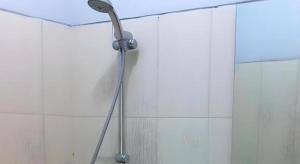una ducha con cabezal de ducha en un baño en Pineapple Mansion, en Bonorejo 39 fotos más