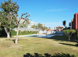 a swimming pool in a park with a tree at Rey apartment in Vilassar de Mar