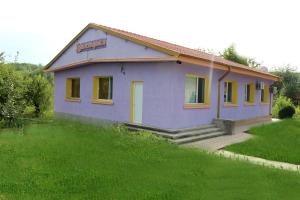 a small purple house on a grassy field at Hostel Victoria in Silistra