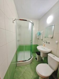 a bathroom with a shower and a toilet and a sink at Ośrodek Trzy Korony Krościenko nad Dunajcem in Krościenko