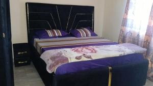 a bedroom with a large bed with purple sheets at 2-bedroom equipped apartment in Bakote