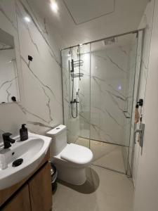 een badkamer met een douche, een toilet en een wastafel bij Glamping Geodome Horní Blatná in Horní Blatná