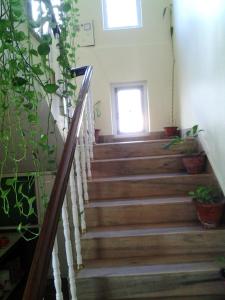 Fotografija v galeriji nastanitve New United Hotel v mestu Pokhara