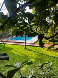 a pool in a yard with green grass and trees at Avocado Orchards - Home Stay in Kenichira