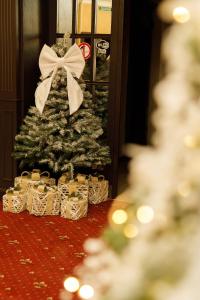 Fotografie z fotogalerie ubytování Eduard Hotel v Užhorodu