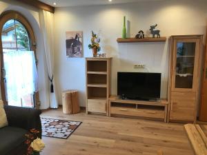 TV a/nebo společenská místnost v ubytování Apart Mangweth