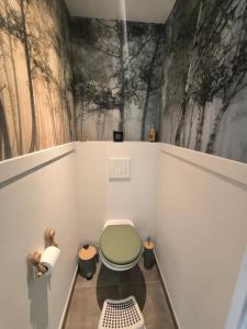 L'Emeraude في سانت هيربلان: حمام مع مرحاض ذو غطاء أخضر