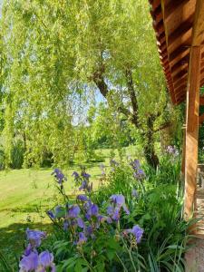 Vườn quanh Gite des noisetiers