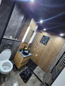 un bagno con un water e un lavandino di Promenada mall side a Craiova