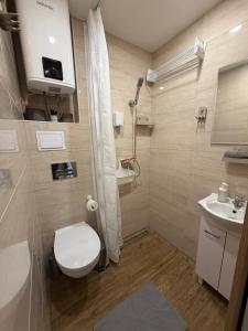 ein Badezimmer mit Toilette, Waschbecken und Dusche in der Unterkunft ApartmentsByMatyrafa-XIV in Tarnowitz