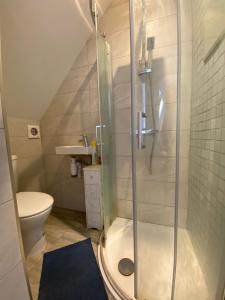 a bathroom with a shower and a toilet at EGHAM LOVELY STUDIO SELF CONTAINED 2 mins station in Egham +14 photos