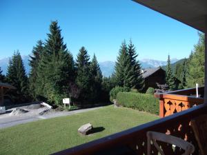 a view of a yard from a balcony at Petit Ours in Villars-sur-Ollon