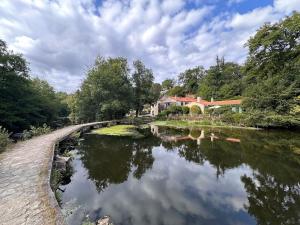 Příroda nedaleko apartmánu