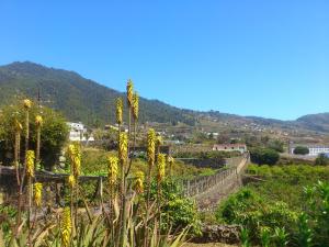 a view of a retaining wall and a mountain at Casita del Medianero in Santa Cruz de la Palma