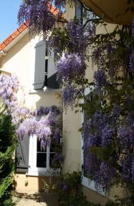dom pokryty wisterią przed oknem w obiekcie Chambre d'Hôtes La Villa Molina w Besançon