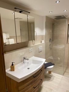 克罗伊特Schwaigeralm的带水槽、淋浴和马桶的浴室 更多36张照片