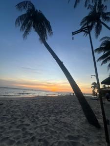 two palm trees on the beach at sunset at Song Anh Mui Ne Guesthouse in Mui Ne
