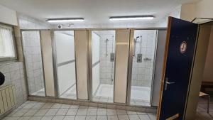 bagno con doccia e cabina doccia di Unterkunft Zwisa a Jenaz