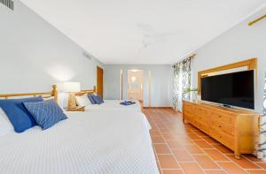 Μια τηλεόραση ή/και κέντρο ψυχαγωγίας στο Villa Quenepa with Generator & Steps from the Beach