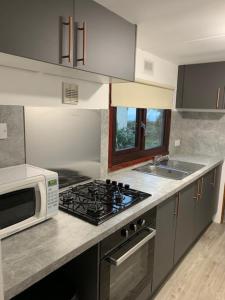 a kitchen with a microwave and a stove top oven at Lodge Cabin with Fabulous Views 2 - Farm Stay in Portpatrick