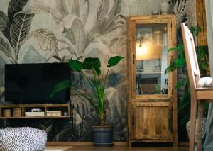 a living room with a tv and a plant at Casa Horea 54 in Cluj-Napoca