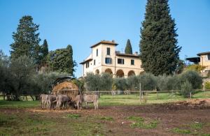 Budova, kde se farma nachází