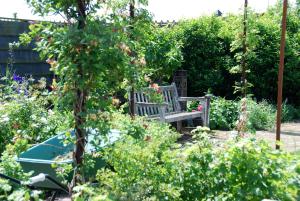 A garden outside Bed In Waterland