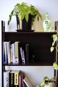 Knihovna v apartmánu