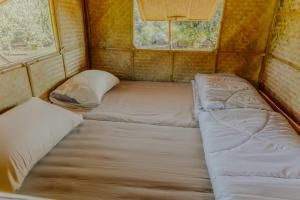 Cette petite chambre comprend 2 lits et 2 fenêtres. dans l'établissement Ozone Valley Camp Khaoyai, à Nong Nam Daeng 22 autres photos