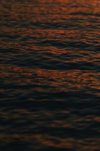 Phong cảnh thiên nhiên gần khách sạn +45 ảnh