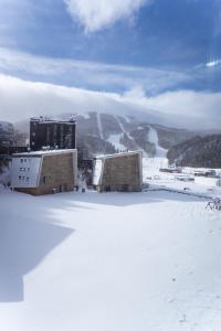 Green Apartments Bjelašnica trong mùa đông