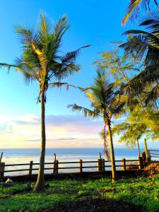 Naturlandskabet i nærheden af villaen
