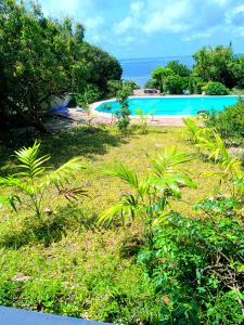 Swimmingpoolen hos eller tæt på ocean sunrise villa