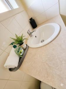 a bathroom with a sink and a potted plant on a counter at The Hamlyn Haven - Sleeps 5 - Central Location in Hamlyn Heights