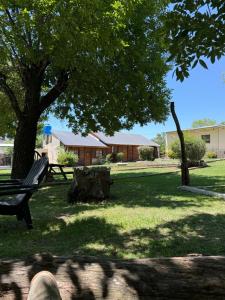 a park bench under a tree in the grass at Cabañas La Cautiva in Tanti