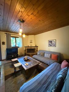 Posezení v ubytování Horizon Nest Parnassos Villa Chalet!