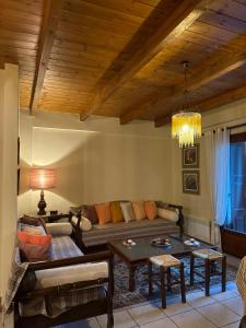 Posezení v ubytování Horizon Nest Parnassos Villa Chalet!