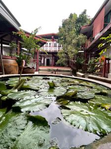 a large pond with lily pads in a courtyard at Casa Scarlet in Bangkok