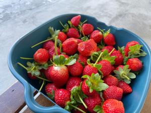 Φαγητό σε αυτή η βίλα ή κάπου εκεί κοντά