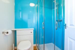 a blue bathroom with a toilet and a glass shower at Birch Lodge 15 in Newton Stewart +19 photos
