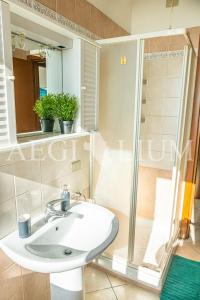 a bathroom with a sink and a shower at Castello 9 in Isola del Giglio
