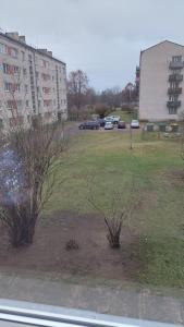 een veld met auto's geparkeerd op een parkeerplaats bij Ciemos pie Ingas Sedā 