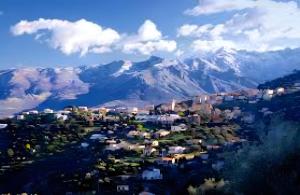 Naturlandskabet i nærheden af lejligheden