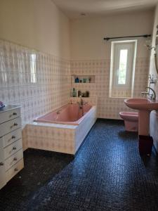a bathroom with a pink tub and a sink at Au Moulin de Gary in Saint-Laurent-les-Tours +12 photos
