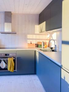 Køkken eller tekøkken på Family Cabin With Views In Lygnalia