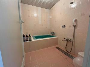 Koupelna v ubytování ホテル Liebe 岐阜