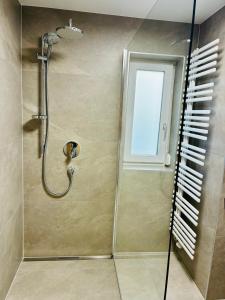 a shower with a glass door in a bathroom at Ferienwohnung Lechner in Karres +13 photos