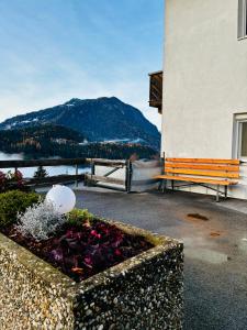 Phong cảnh thiên nhiên gần căn hộ